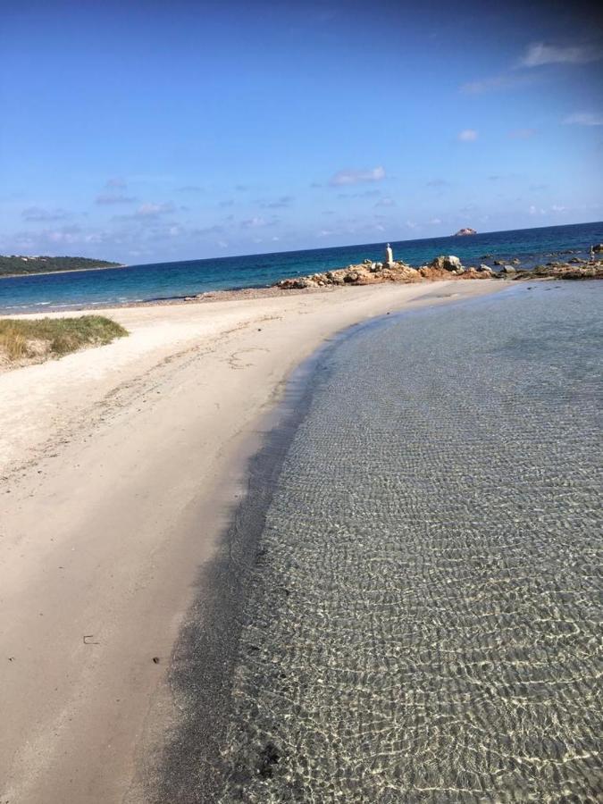 דירות Pinarellu La Corse Les Pieds Dans L'Eau מראה חיצוני תמונה
